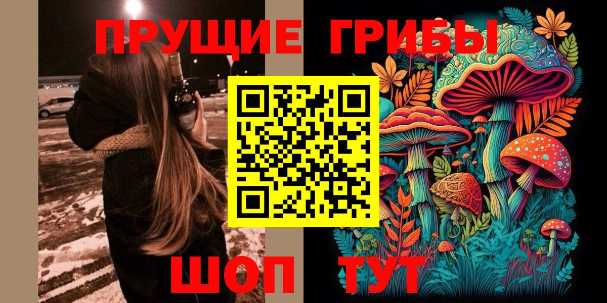 Протвино  Псилоцибиновые грибы ЛСД  купить   Вход с VPN 